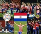 Finalist Paraguay, Copa América Arjantin 2011